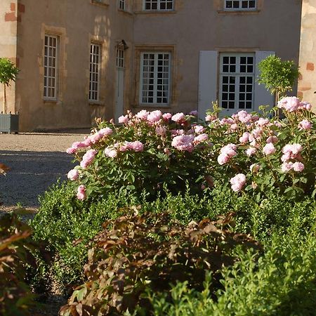 Bed and Breakfast Chateau Du Riau Villeneuve-sur-Allier Экстерьер фото