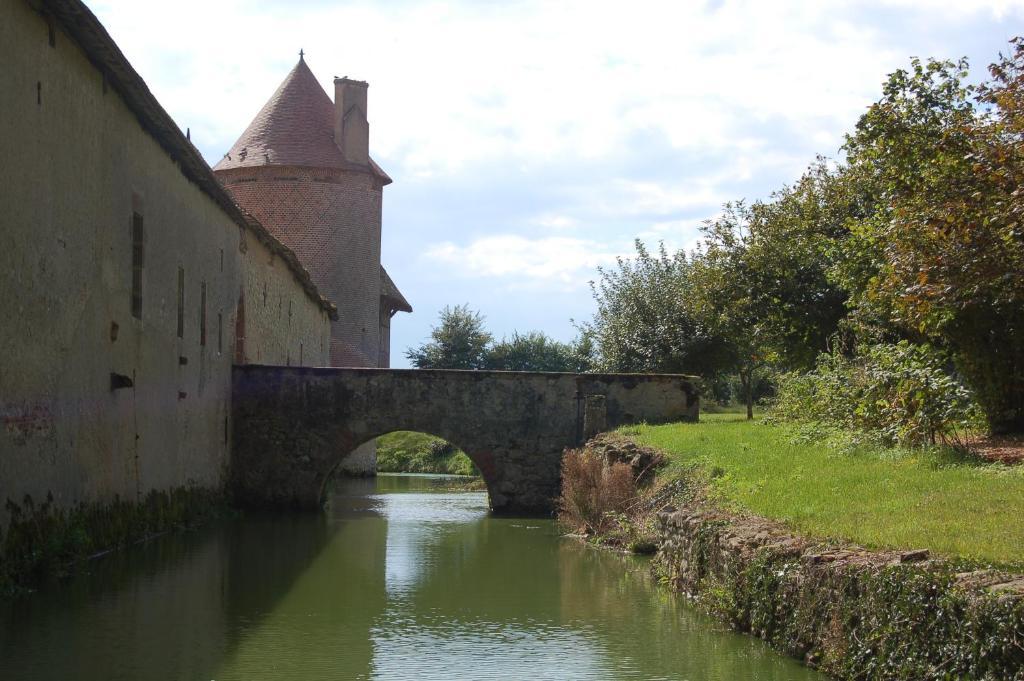 Bed and Breakfast Chateau Du Riau Villeneuve-sur-Allier Экстерьер фото